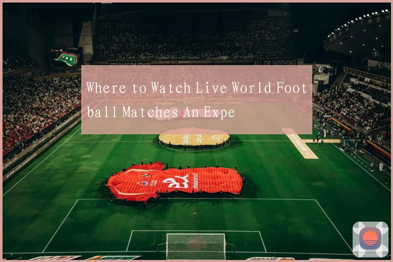 Where to Watch Live World Football Matches An Expe