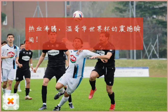 热血沸腾，温哥华世界杯的震撼瞬间！