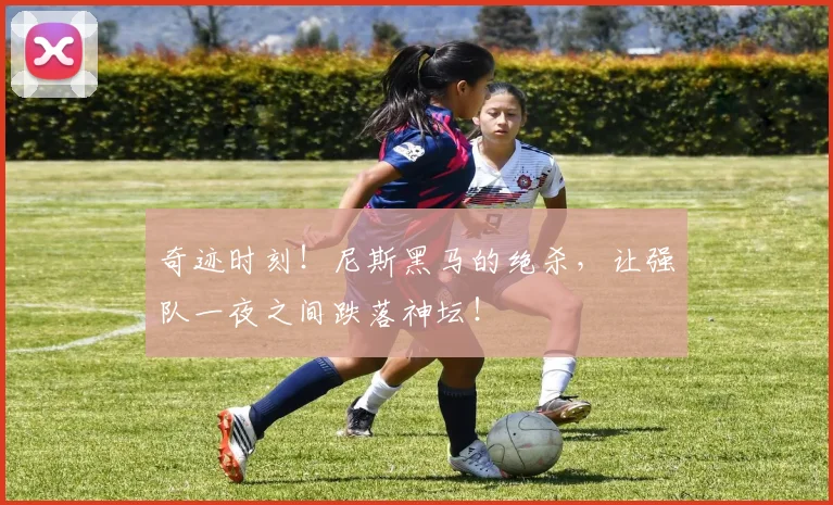 奇迹时刻!尼斯黑马的绝杀,让强队一夜之间跌落神坛!