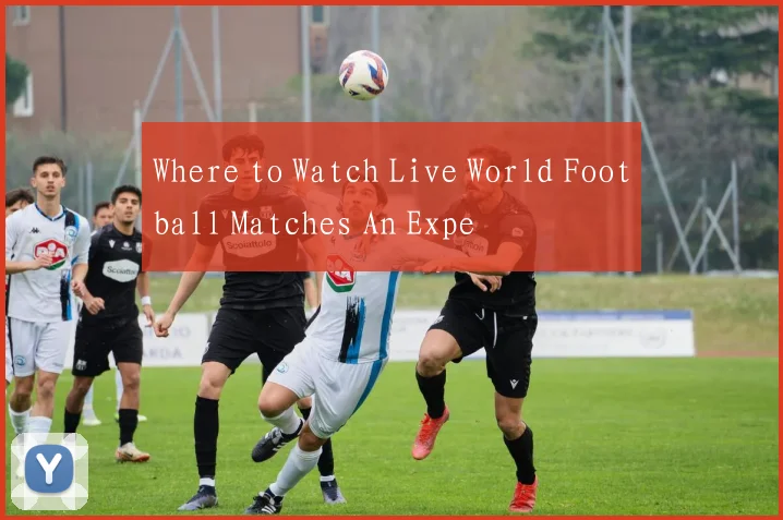 Where to Watch Live World Football Matches An Expe